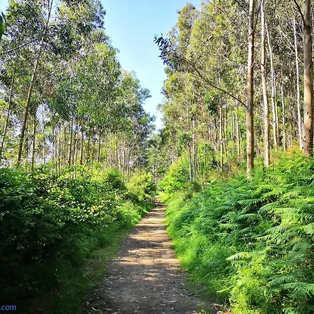 Seaview Simple Auto-checking