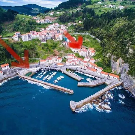 Apartament Singular En Urdaibai